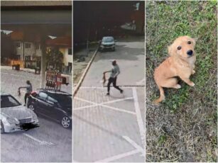 Cățel abandonat de un bărbat într-o benzinărie din Făgăraș
