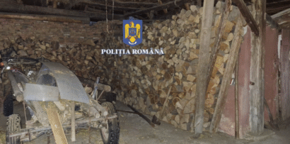 Opt bărbați reținuți pentru tăieri ilegale de arbori și fapte de corupție