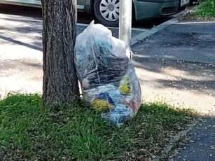 „Înfloresc” gunoaiele pe străzile din Făgăraș. Amenzile pot ajunge la 2.000 de lei