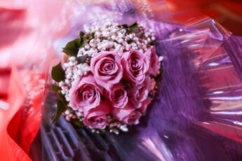 Cocaină ascunsă în cartoane pentru flori. Captură uriașă de droguri în județ