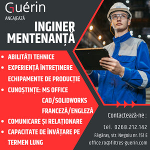 Guerin - inginer mentenanta