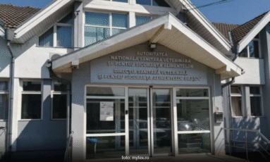 Rețineri într-un dosar de luare de mită la DSVSA Brașov