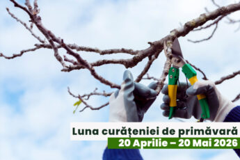 Începe „Luna curățeniei de primăvară”