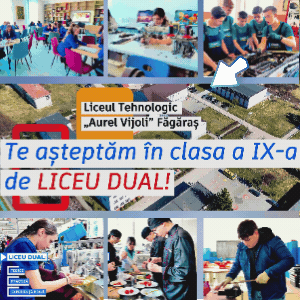 Liceul Aurel Vijoli - oferta educationala
