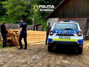 Lemn lipsă la inventar. Amendă de 5.000 de lei pentru o firmă din Poiana Mărului