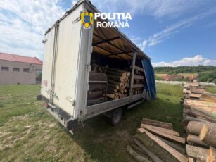 Mașină cu lemne fără documente, confiscată de polițiștii din Voila
