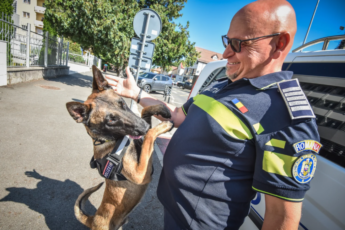 Un polițist din Sibiu a refuzat pensionarea pentru a rămâne alături de câinele său