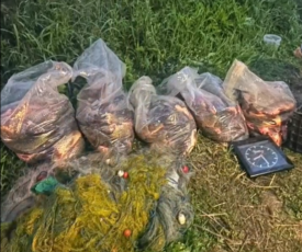 230 de kilograme de crap, descoperite în mașina unui făgărășean