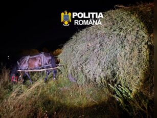 Au furat 2 tone de cartofi din câmp și le-au ascuns sub fân. Doi bărbați au fost reținuți