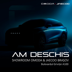 Auto Novex
