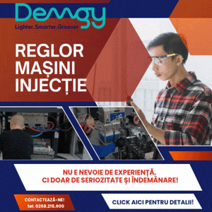 Demgy - reglor, muncitor necalificat