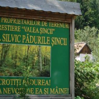 Imaginea miniatură a imaginii anunțului